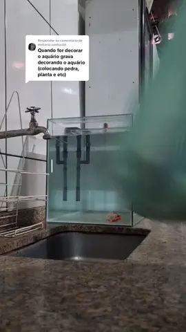 Respondendo a @mvitoria.santos08 Decorando meu Aquário 🌿🐚🪸🐠 #aquarismo #fy #fypシviral #fyp 