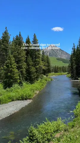 #visitcolorado #colorado #coloradosummer #denver #aspen #whattodoincolorado #denvercolorado 