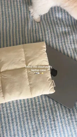 not want but a neeed🙂‍↕️🪩🧸 #case #laptop #electronics #laptopcase #puffy #cloud #aesthetic #pinterest #affordable 