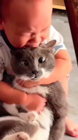 Funny cat master 