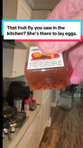 #creatorsearchinsights That one fruit fly you saw? She’s not lost—she’s here to lay eggs.🪰 Forget vinegar and sticky traps. This tiny hack is how I finally got rid of fruit flies and gnats—for good.  Sure! Here’s your optimized hashtag stack in paragraph format with no commas, ready to drop into your TikTok caption: #getridofflies #householdhacks #pestcontrol #cleaningtips #lifehacks #fruitflytrap #flytrap #gnats #kitchenhack #cleanhome #bugproblems #amazonfinds #HomeEssentials #CleanKitchenVibes #ByeFruitFlies #SmartHomeFinds #KitchenGoals #dealsforyoudays #ttslevelup @Super Ninja 