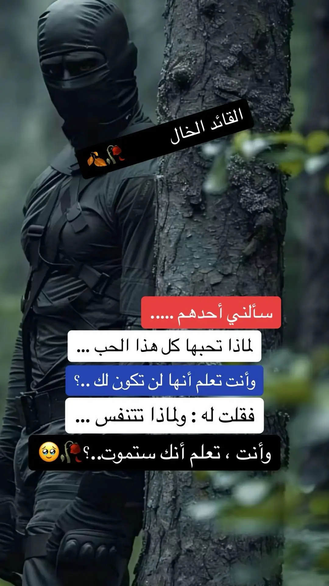 #في هذا اليوم #هكذا كان ردي على شخص ما 🥀😔 #fypシ゚viral #fypage #الخال💔 