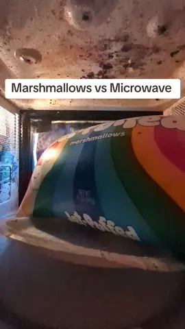 Marshmallows vs Microwave #science #experiment #microwave #relax #marshmallow 