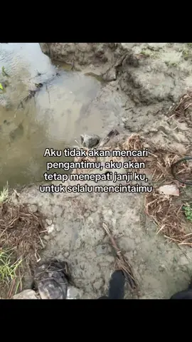 #galaubrutal 