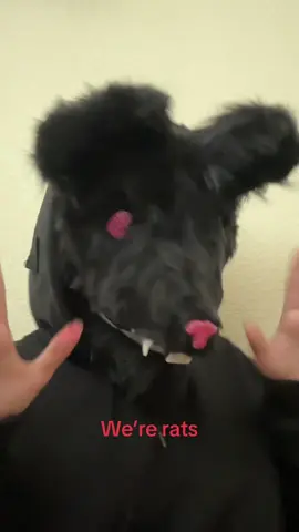 🐀🐀🐀 #maskcreator #cosplay #masktok #notatherian #diyproject #silly #rat 