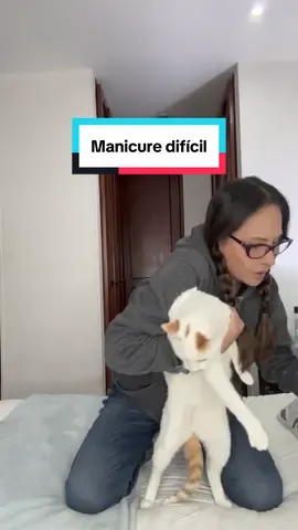 Cuando tu gatito es rebelde, pero te las ingenias. 🤍 . . #gatito #cat #mininos #gael 
