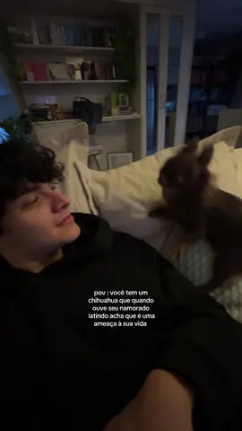ele lutando bravamente contra os latidos (jurando que tem um outro cachorro atrás do gabriel)