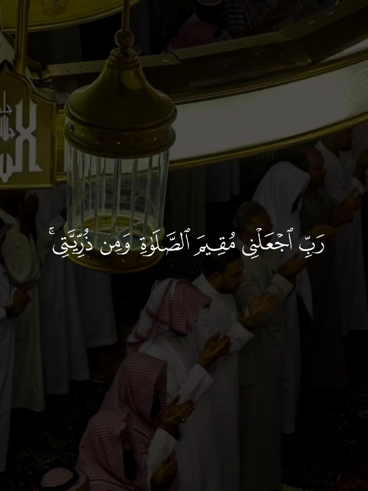 رب اجعلني مقيم الصلاة ومن ذريتي 🤲 #quran #القرآن #quran_alkarim #القران_الكريم #qu_ran_n #تلاوة_خاشعة #qu_ran_n؛؛قرآن #chahr_205 #اجر_لي_ولكم #islamic_video #صدقه_جاريه #quran_114st 