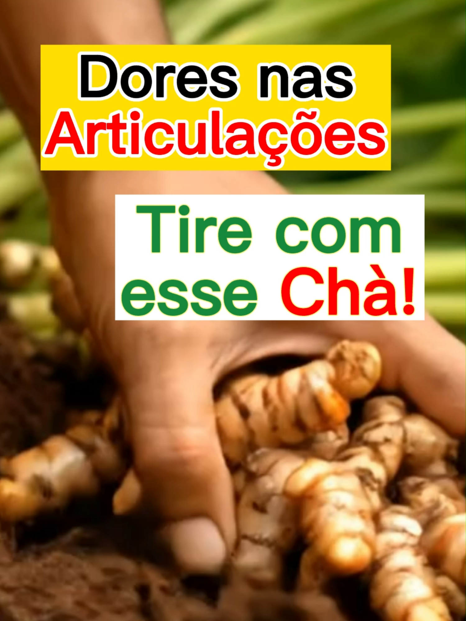 Você vai precisar de: 1 colher de chá de açafrão da terra em pó,  1 colher de chá de gengibre ralado e  1 xícara de água quente. Mistura tudo, deixa em infusão por 10 minutos   Tome duas vezes ao dia: de manhã e antes de dormir. Se quiser potencializar, pode adicionar 1/2 colher de óleo de coco, que ajuda na absorção da curcumina. #doresarticulares#dorarticular #dornascostas#dornojoelho#dornacolunalombar