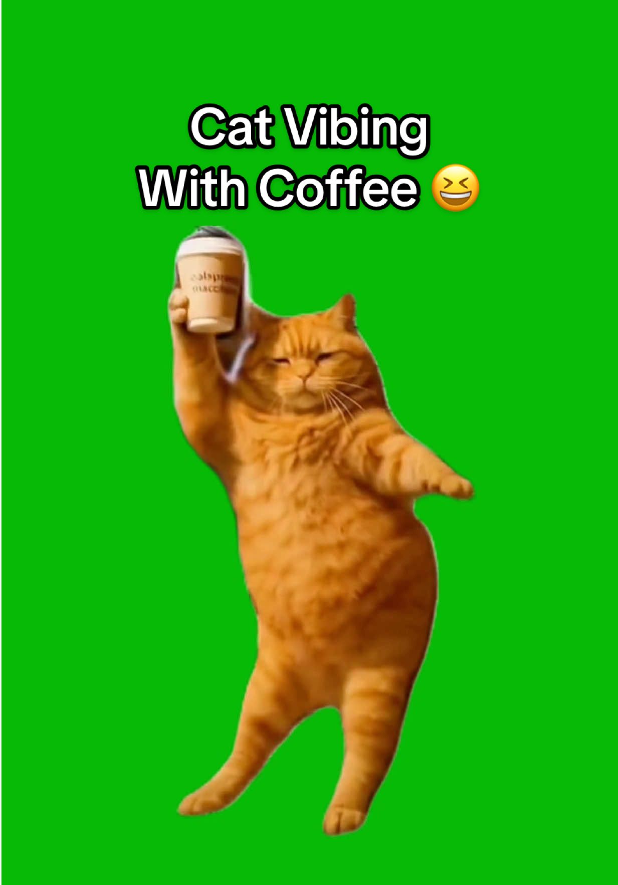 Cat Vibing With A Coffee meme green screen capcut templates #cat #vibing #catmemes #memes #meme #greenscreenmemes #capcuttemplates #CapCut 