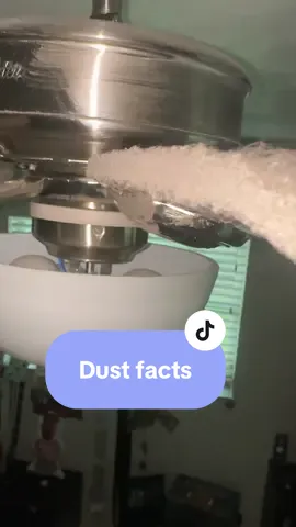 Dust dust babyyyyyy! Everyone hates it but here’s the facts!! It’s also your reminder to turn off your fan and give it a clean!😂 • #CleanTok #dust #fancleaning #cleaning #cleanwithme #deepcleaning #satisfyingcleans #cleaningservices #sharkvacuums #cleaningtiktok #vacuumcleaner 