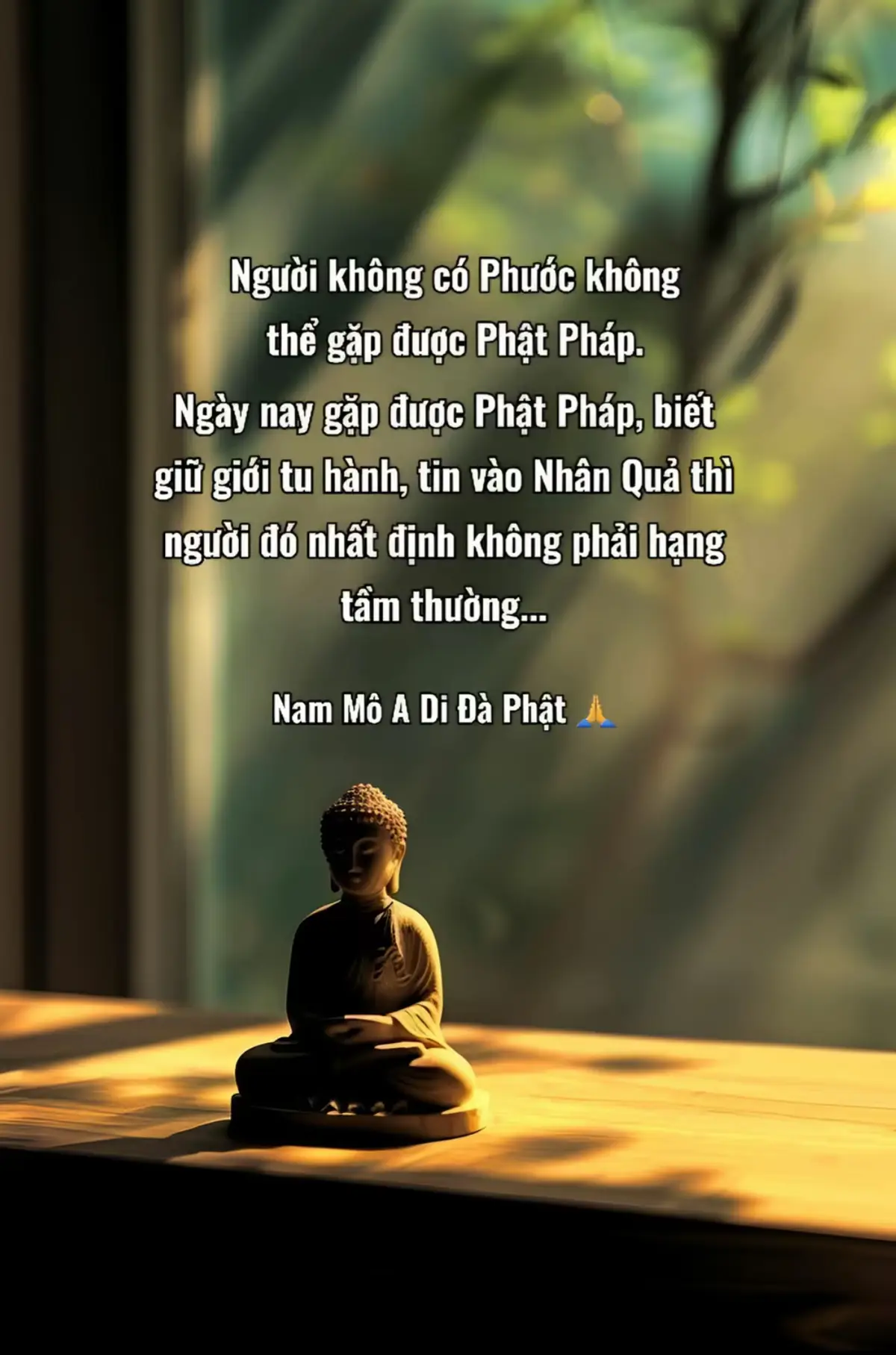 🙏🙏🙏#batnhatamkinh #adidaphat #xuhuongtiktok #chuvangsanh #ănchay #ommanipadmehum #cuuhuyenthatto #samhoithainhi #chudaibi #chulangnghiem #laysamhoi 