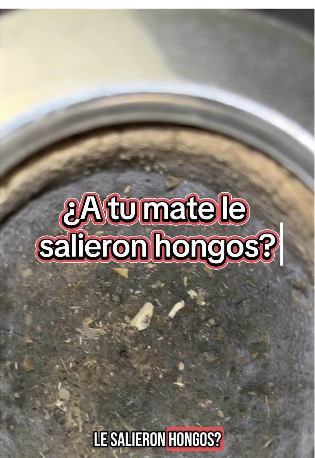¿Te salió mohoen el mate? ✋🏼 No lo tires, no llores, no lo entierres. Acá te muestro cómo lo rescaté del más allá con fuego, bicarbonato y trauma emocional incluido 🧉🦠 El mate sobrevivió. Yo… más o menos. ¿Te animás a intentarlo o ya lo mandaste a la basura sin mirar atrás?#matecurado #curar #mateconhongos #hongos #curarmate 