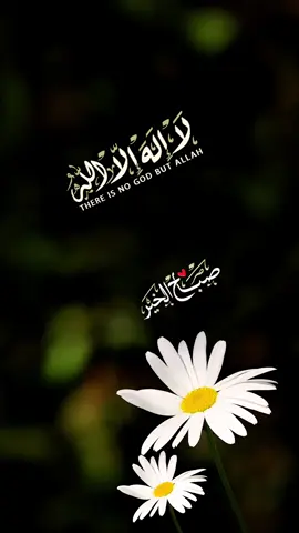 لا إله إلا الله وحده لا شريك له، له الملك وله الحمد وهو على كل شيء قدير سبحان الله وبحمده عدد خلقه ورضا نفسه وزنة عرشه ومداد كلماته رضيت بالله ربا وبالإسلام دينا وبمحمد صلى الله عليه وسلم نبيا ورسولا. #صباح_الخير #صباح  #دعاء #سبحان_الله #لا_اله_الا_الله