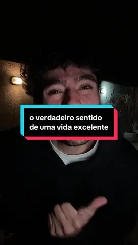 o sentido de uma vida excelente 