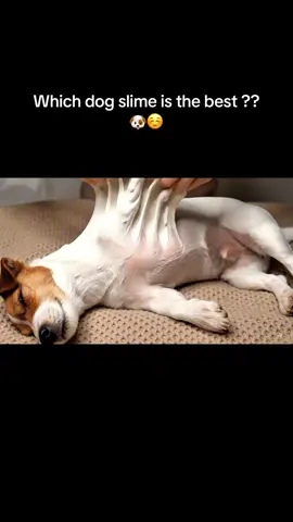 Slime dogs 😭😭😛 #asmr #slime #satisfying #oddlysatisfying #trending #viral 