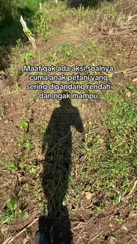 #petanicengkeh #petanimuda #bugistiktok #kebunbuah #katakata #4u 