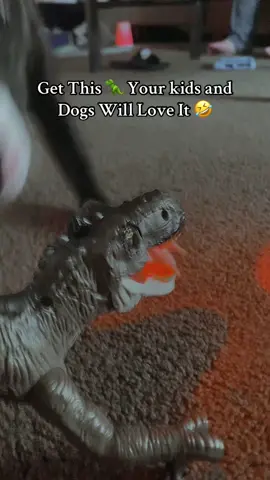 They have a Love/Hate Relationship #toys #buynow #dinosaur #kidstoys #dogtoy #cute #funny #dino #dinosaurtoys #toktokshop #cooltoy #boytoy 