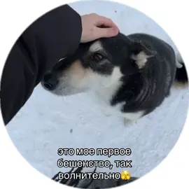 операторы всегда выживают 