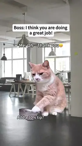 Please turn praise into a pay raise🤓 #office #work #boss 