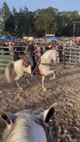 @JesusJimenez         #caballosbailadores  #gentederancho  #gentederanchowashington  #jaripeos  #bailes  #cuacos  #mexico  #guerrero  #jalisco  #nayarit  #sinaloa  #michoacan  #costarica  #nicaragua  #usa  #chicago  #washington  