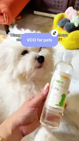 Madami pa to ibang benefits #vco #vcoconut #vcoforpets #vcofordogs #salmonoil #salmonoilfordogs 