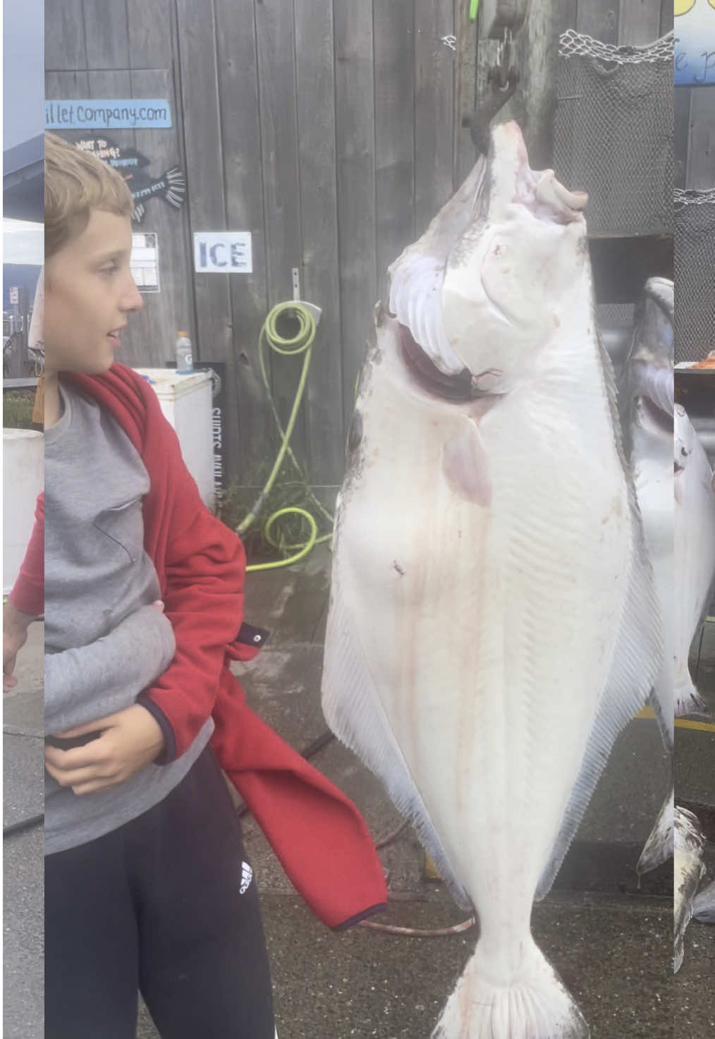 Caught a big one! #alaskatravel #alaska #homeralaska 
