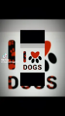 #animallover #doggo #dogknotty #zootopia #zoo 