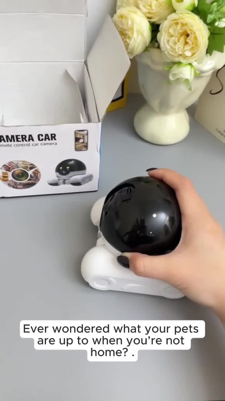Nesteye Pet monitoring camera， Mobile Remote Viewing,   Surveillance Camera,  360°Rotating Night Vision with Full Color Function Infrared Night Vision, Pan/Tilt,  2-Way Audio,  AI Camera #camera #securitycamera #doorbellcam #cameras #homecamera #wirelesscctv #smartcamera #bestcamera #wirelesscamera #digitalcameras