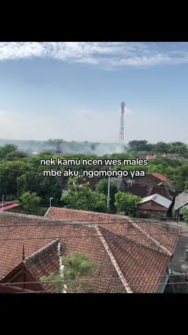 #galaubrutal 