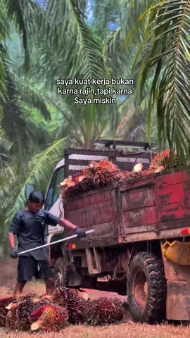 😐 #pyp #poryou #suksesmuda #kulisawit #lodingbuah #fyp #katakatabijak #katakatamotivasi #fyp #pypシtiktok #masokberandamu 