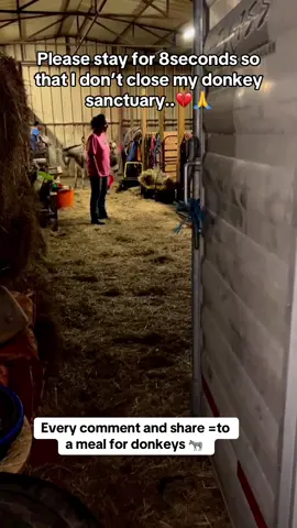 And at the crack of dawn today Sweet Bluebell, Bibi and Bitsy followed the feed bucket right on board our trailer heading home. And this freedom ride is heading to a great new life for all three of them and thank you to everyone who donated ♥️❤️ It’s so good to see how much weight they have put on in the month they have been with our incredible quarantine Angela, who takes absolutely the greatest care of the rescues in her charge.  She goes above and beyond for every horse, donkey, mini mule and zebra we have had with her.  So big shout out to Angela and her husband for helping load in the early hours today.  Come on home donkeys and thank you to Jud and Micah for doing the long haul ♥️💜 #skydogjoepesci #skydogbert #skydogernie #skydogfrankie #skydogjohnny #passthesafeact #emptythepens #livewildstayfree #adoptblmburros #wilddonkey #donkeysmatter #skydogburros #nodonkeyemoji #stoptheroundups #donkeysanctuary #skydogdonkey 