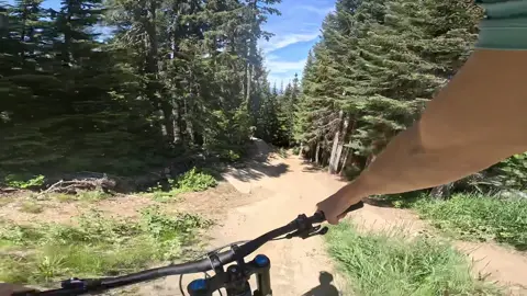 Gopro clips from whistler. #bike #downhill #whistler #canada #bikepark #mountianbike #fyp #bear 