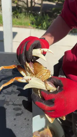 Here’s the best & easiest way to clean crab. 💨
