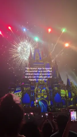 Choose your next adventure 👀 link in bio to get certified in 4 months 100% online 🏰🎇 #Summer #disneyworld #magickingdom #fyp #medicalassistant #cma #medicine #healthcare 
