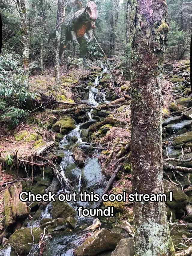 This stream is so cool. I might sit and rest for a while :) #fyp #viral #forest #dinosaur #jurassicpark #spinosaurus 