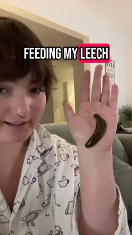#fyp #foryou #foryoupage #viral #info #leeches #leech #pets #furryfriends #amphibians #babies #baby 