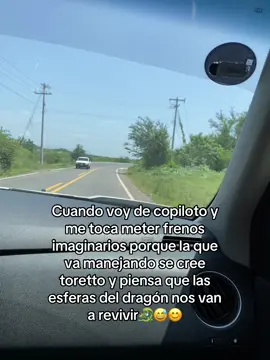 Sin miedo al éxito😅😊 #copilo #paisajes #🚘 