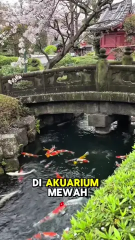 uang mengalir di selokan #aboutjapan #japaneseculture #japanese #budayajepang #jepang 