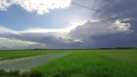 #foryou #viralvideo #vairal #fyp ##fffffffffffyyyyyyyyyyypppppppppppp #bdtiktokofficial🇧🇩 