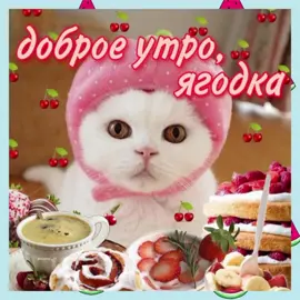 #доброеутро#fyp #fupシ #rek #рек #щп #котеки 
