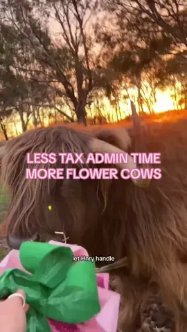 LOOK AT THEM??! 🥹😭🌸 ty for the time back, Hnry x #ad #petcows #tax #flowers 
