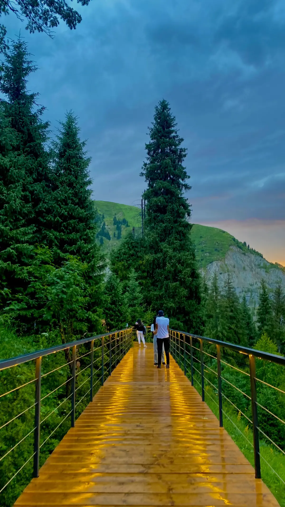 Сүйіп өтем тек сені                                          Өшіре алмай жадымнан🌲🌿⛰️ #алматы #медеу #горельник #apakatya #jumbaqjol 