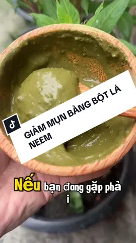 Cách giảm mụn bằng bột lá neem #trimun #trimuntritham #trimuntainha #botlaneem #doshop 