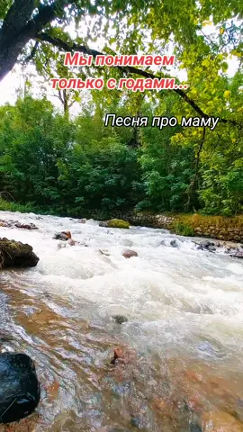 Песня про маму. До слёз!!! Песню поет Вячеслав Мясников. Очень правдивые и жизненные слова в этой песне. #песня#мама#правда#дослез#жизнь#рекомендации#вреки#топ#хочуврекомендации#сосмыслом#