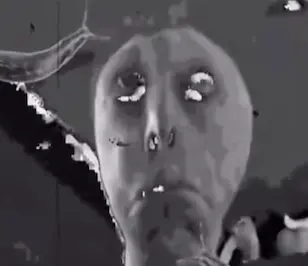 run . . .  #reels #jumpscare #fear #screaming #creepyvibes #scaryvideo #spookyvibes #terrifying #unnerving #icantwatch #scary #frightnight #chilling #Spooky #chills  #eerie #goosebumps #sinister #3am #night #terrified #creepy  #veryscary #alarming #creature #screams #scream #creatures #watching #horrifying 
