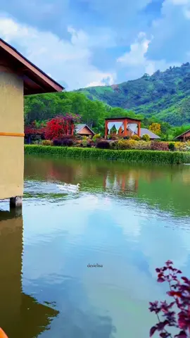 Kalo kata orang “swiss nya Aceh” setuju gak sih?  #gayo #takengon #acehtengah #wisataaceh #pesonaaceh #swissaceh #liburan #healing #resort #kalanamiresort 
