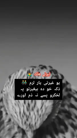 #my New account# ☠️☠️#fallow #