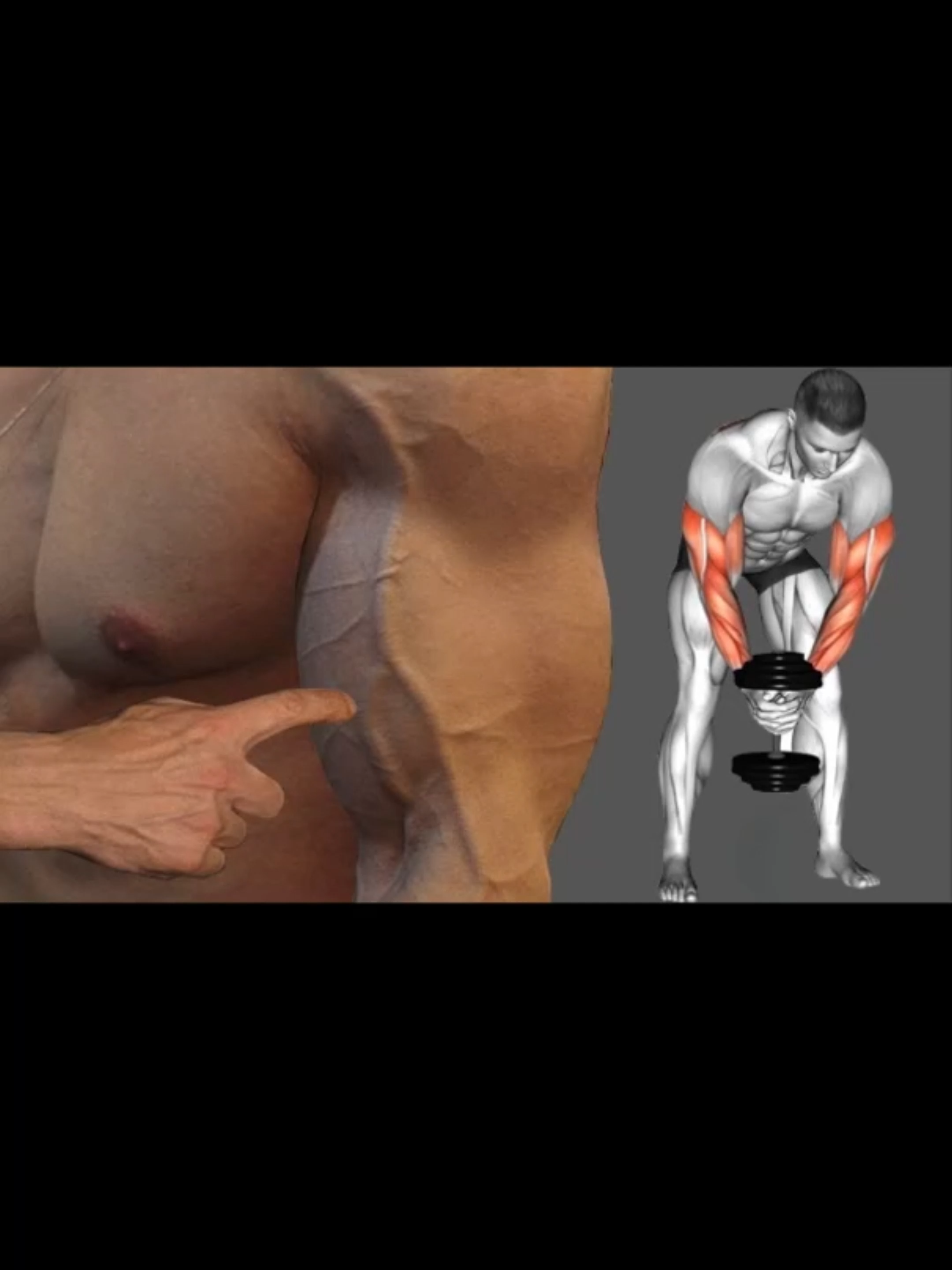 Best Exercises To Increase Arm Width Fast 💪 #motivation #workout #triceps #biceps #Fitness #exercise #ifbb #ifbbelitepro #muscles #musclemotivation #musclegain #bodybuildingmotivation #bodybuilder #bodybuilding #chevronnutrition #gorillawear #armsworkout #gainz #LEG #LEGWORKOUT #Arm #armworkoutathome #armworkouttips #armworkout