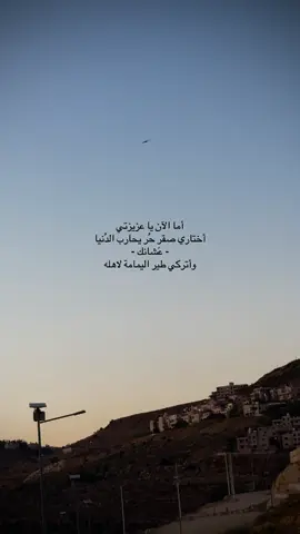 أما الآن عزيزتي أختاري صقر حُر يحارب الدُنيا - عَشانك - وأتركي طير اليمامة لاهله #fypage #عبارات #fyppppppppppppppppppppppp #fyp 